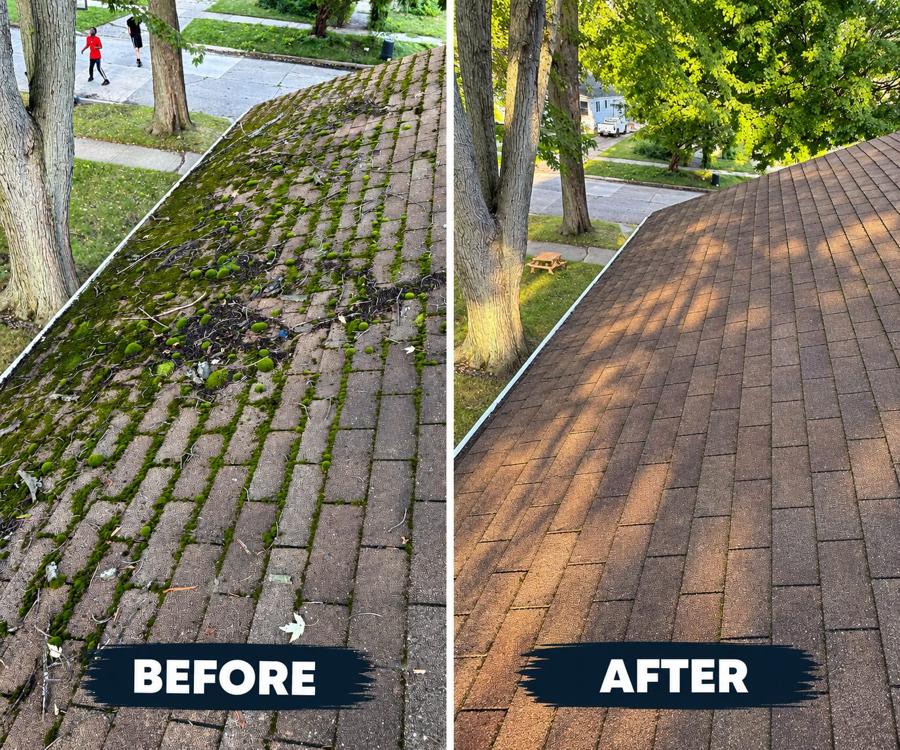 Asphalt shingle roof before and after cleaning: thick green moss and packed leaf debris smothering the shingles on the left, clean bare shingles on the right